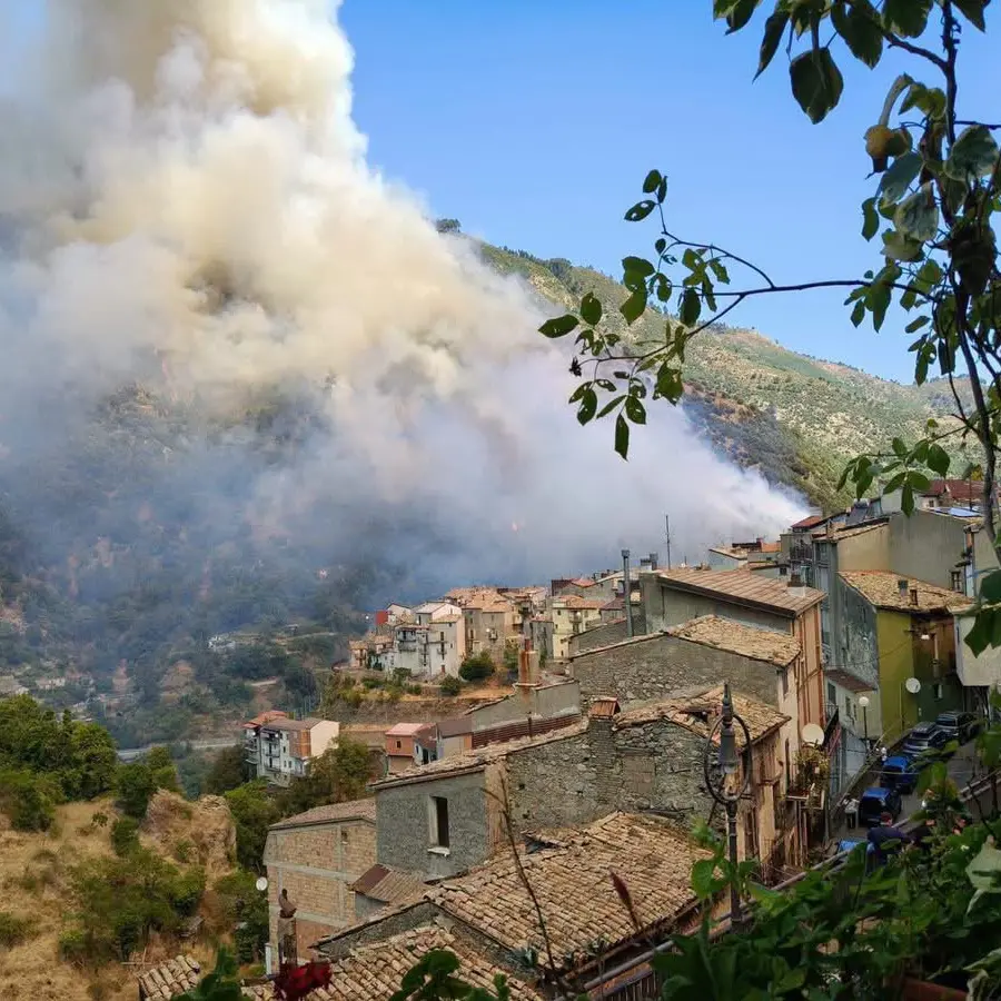 Incendio davanti a Longobucco, nel cuore della Sila Greca: Canadair in azione\n