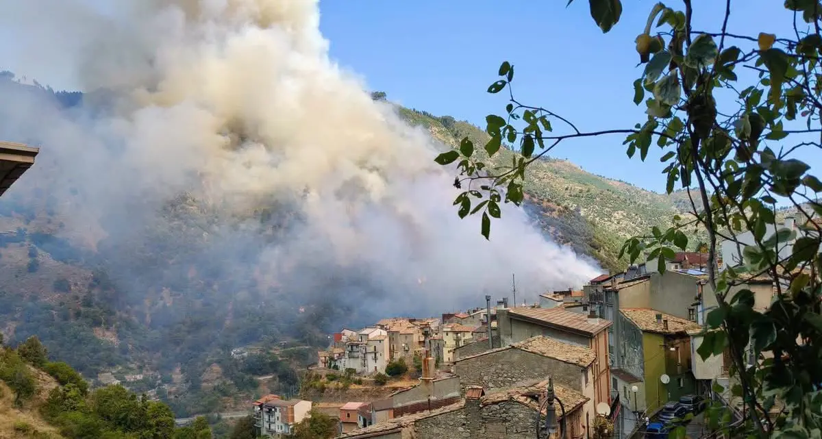 Incendio davanti a Longobucco, nel cuore della Sila Greca: Canadair in azione\n