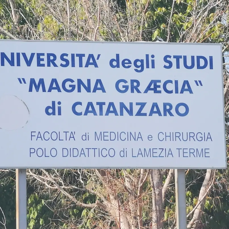 Lamezia, stop alle nuove iscrizioni a Infermieristica. Natrella (FI): «L’UMG sbarra la strada ai giovani e al territorio»\n