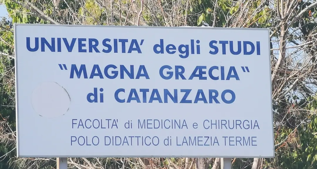 Lamezia, stop alle nuove iscrizioni a Infermieristica. Natrella (FI): «L’UMG sbarra la strada ai giovani e al territorio»\n