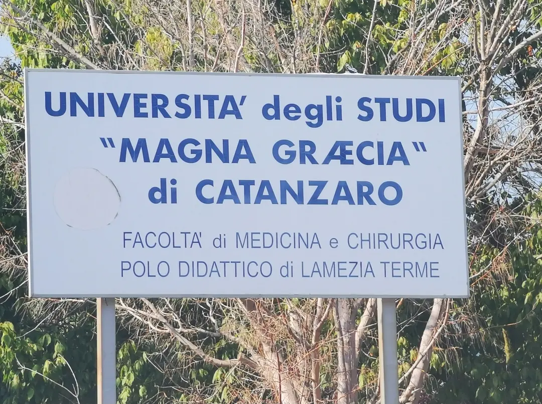 Lamezia, stop alle nuove iscrizioni a Infermieristica. Natrella (FI): «L’UMG sbarra la strada ai giovani e al territorio»\n