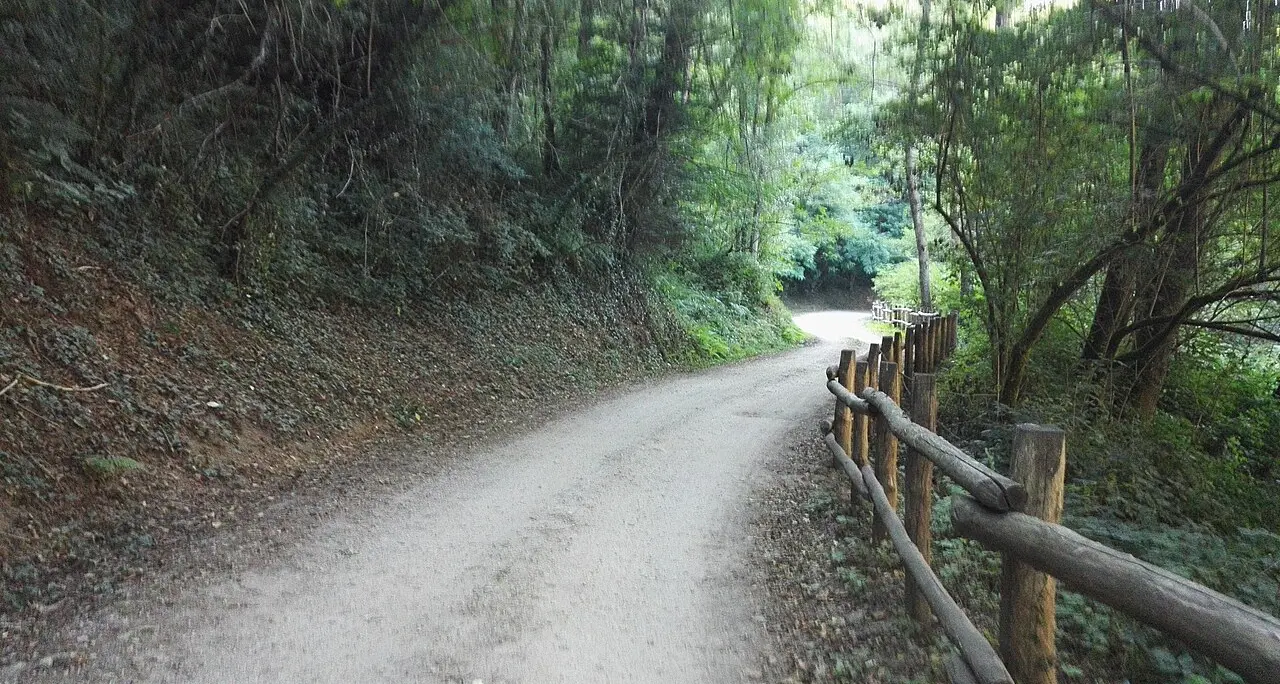 Non solo mare, Ferragosto alternativo nel Vibonese:\u00A0boschi, sentieri e luoghi nascosti, ecco la provincia meno battuta dai turisti\n