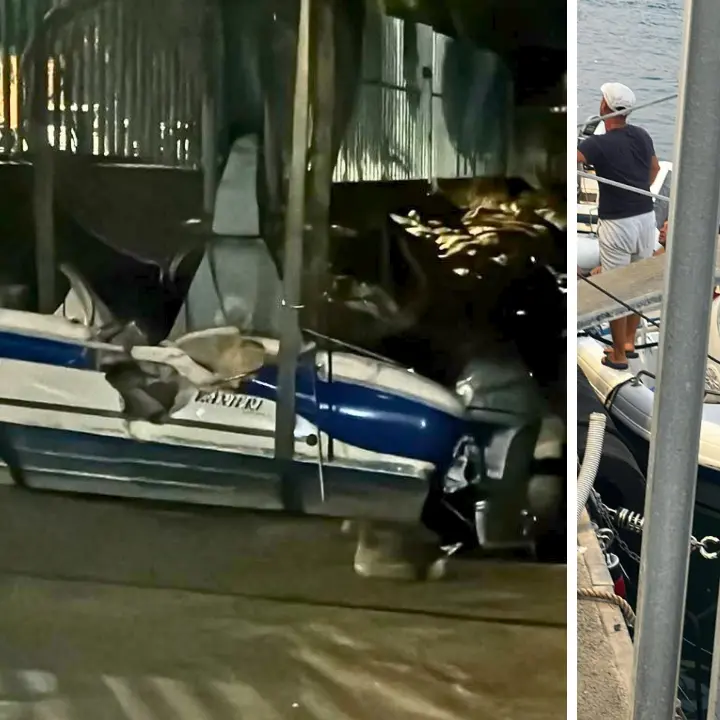 <p>Vibo, si chiama Domenico Campana il giovane morto nello scontro tra barche nel porto: la spaventosa dinamica dell’incidente</p>