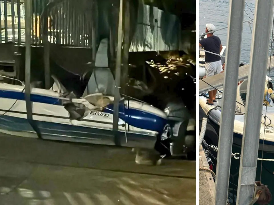 Vibo Marina, si chiama Domenico Campana il giovane morto nello scontro tra barche nel porto: la spaventosa dinamica dell’incidente