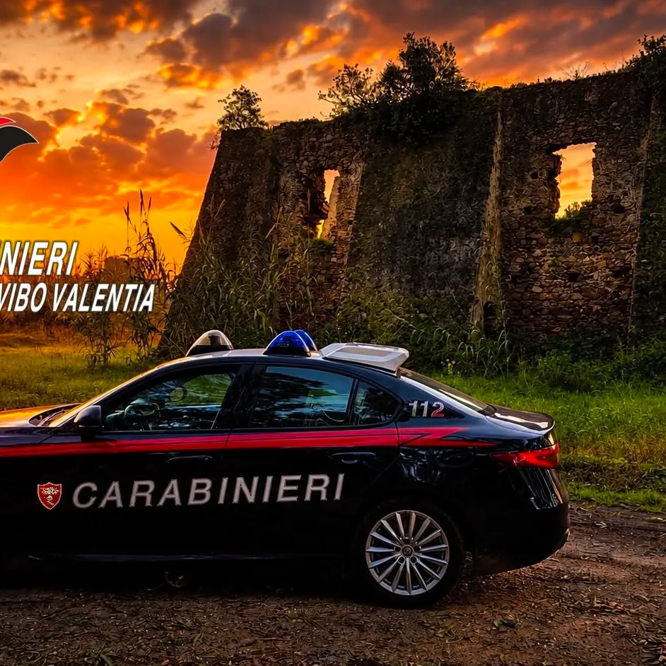 Controlli dei carabinieri nel Vibonese, alcol alla guida\u00A0e sorveglianza speciale violata: quattro persone denunciate\n