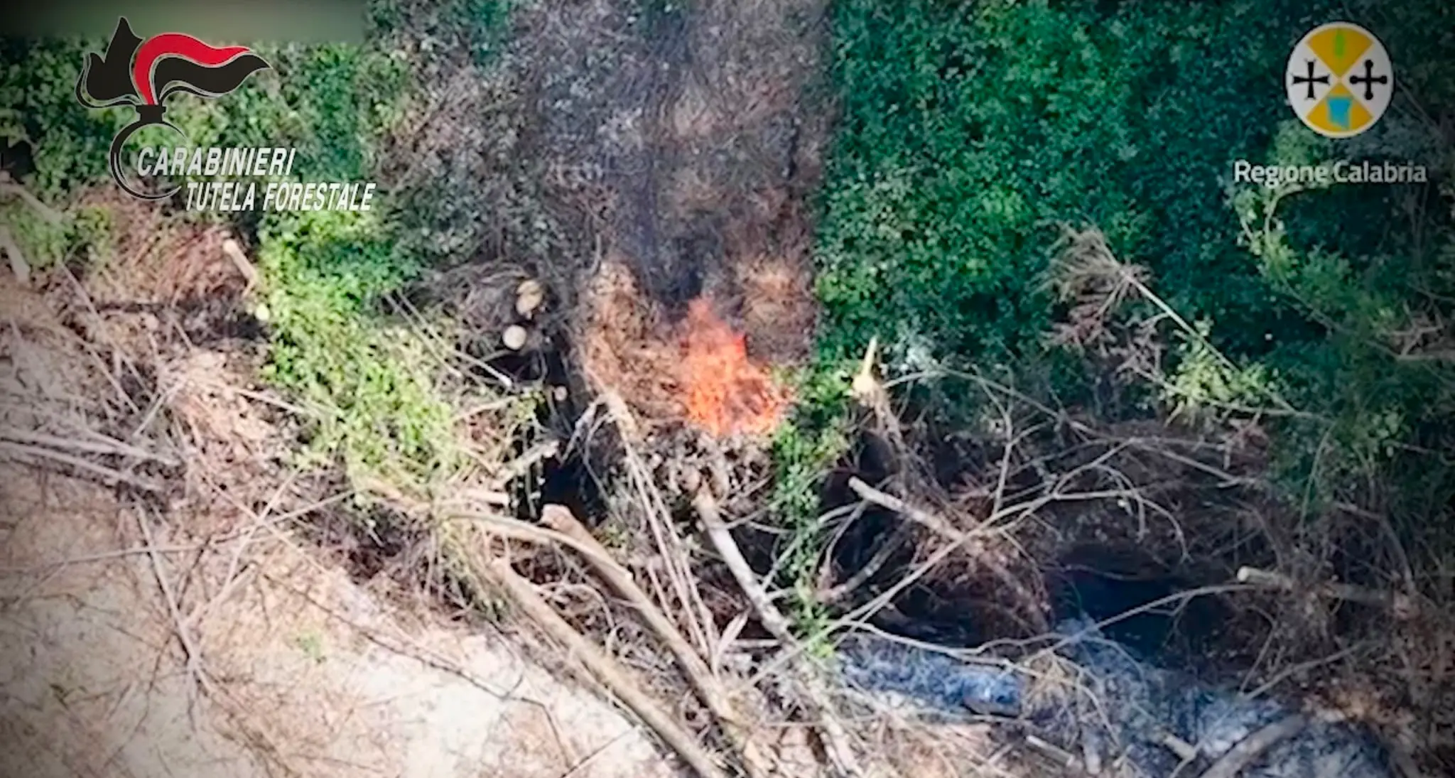 Appicca il fuoco e fugge con il trattore, arrestato 49enne nel Vibonese\n\n\n