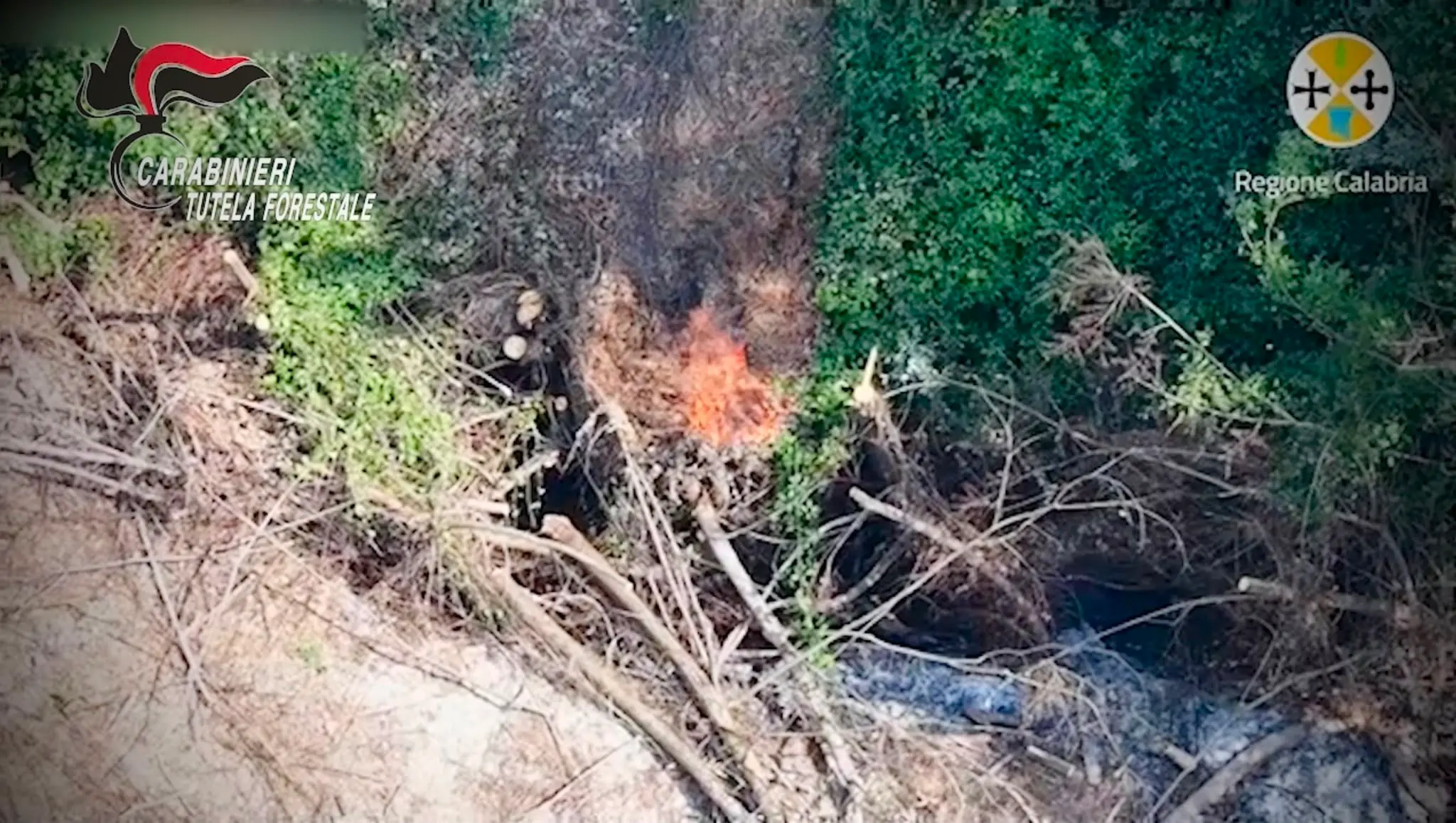 Appicca il fuoco e fugge con il trattore, arrestato 49enne nel Vibonese\n\n\n