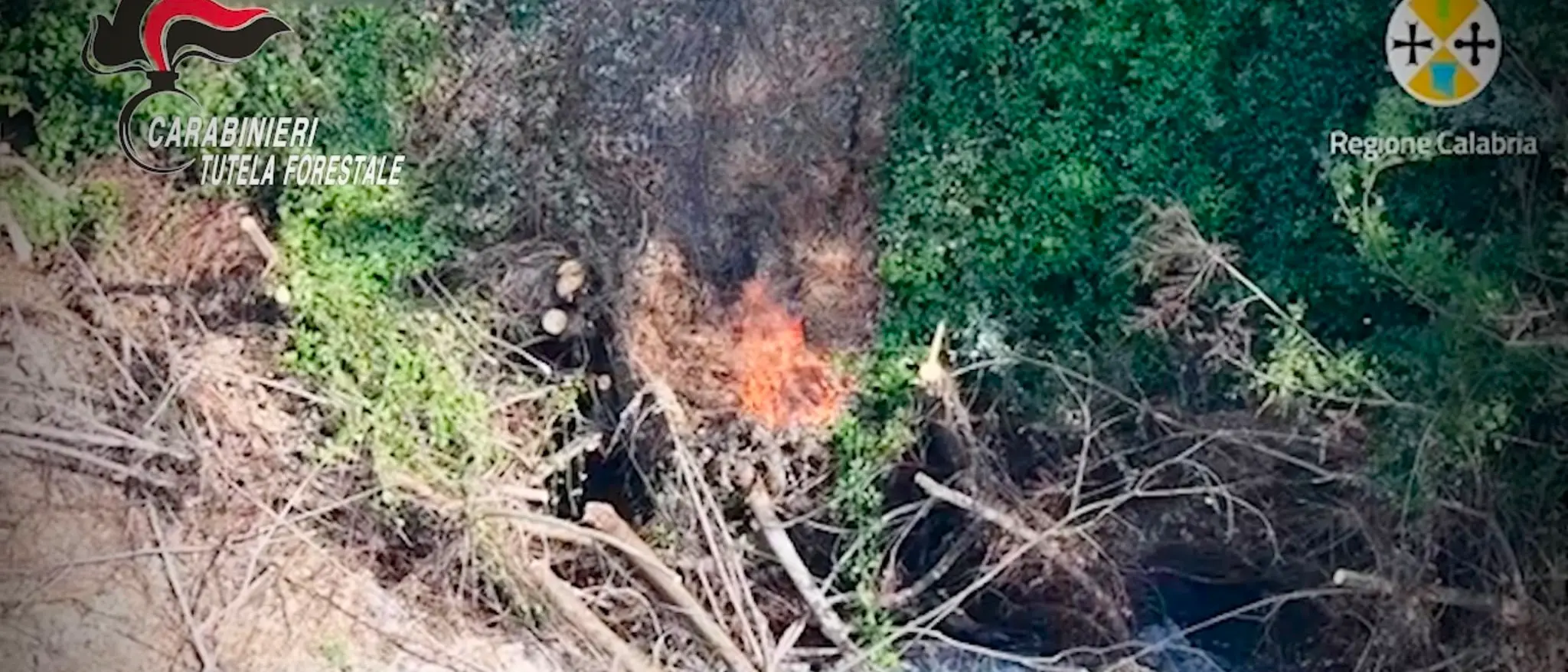 Appicca il fuoco e fugge con il trattore, arrestato 49enne nel Vibonese\n\n\n