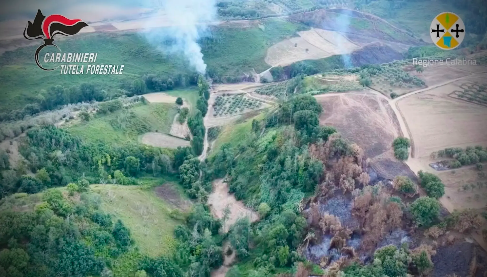 Appicca incendio e fugge col trattore, piromane arrestato nel Vibonese - VIDEO