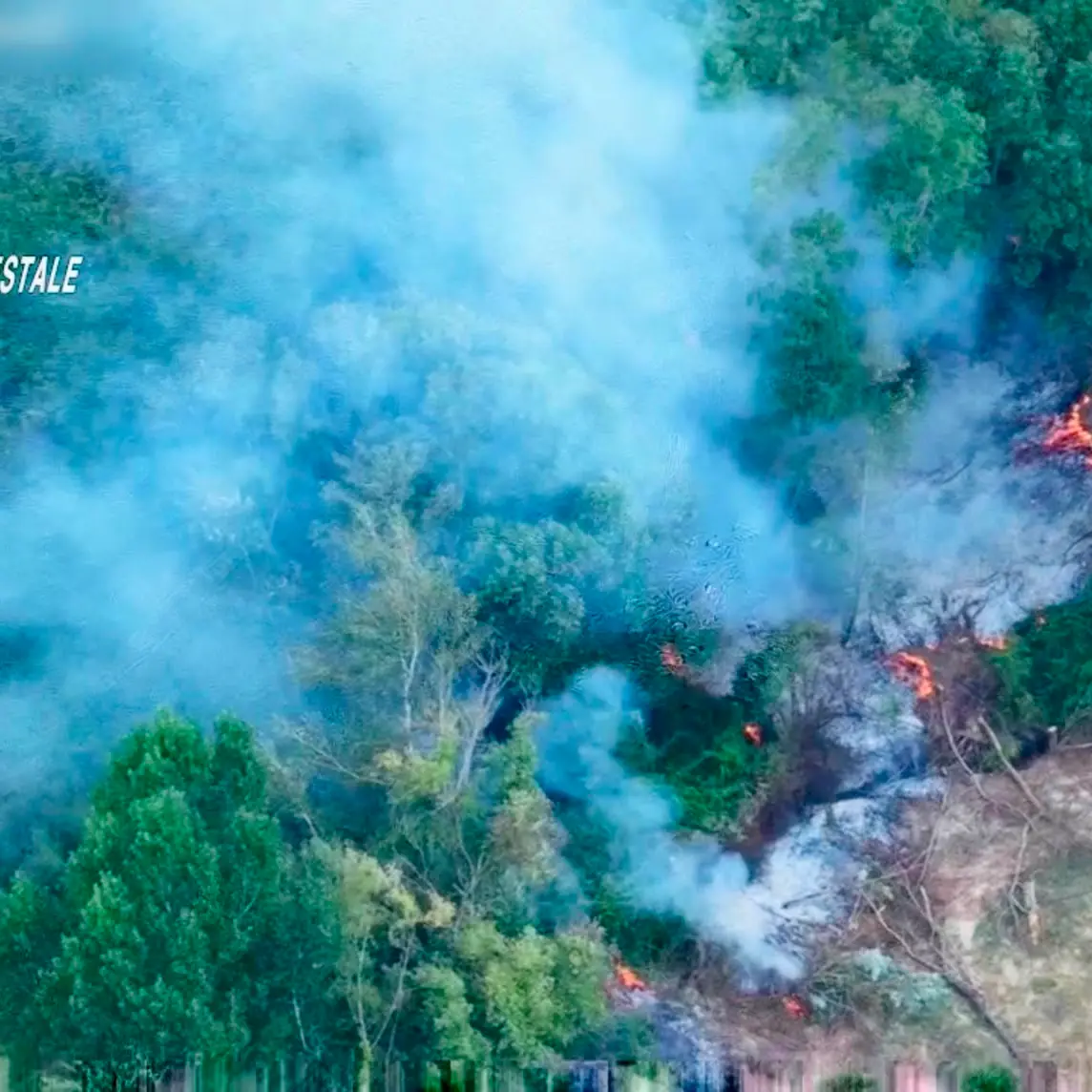 <p>Appicca il fuoco in un bosco di Mileto e <span style=\"color:hsl(0, 75%, 60%);\">fugge con il trattore</span>, arrestato 49enne di Francica</p>