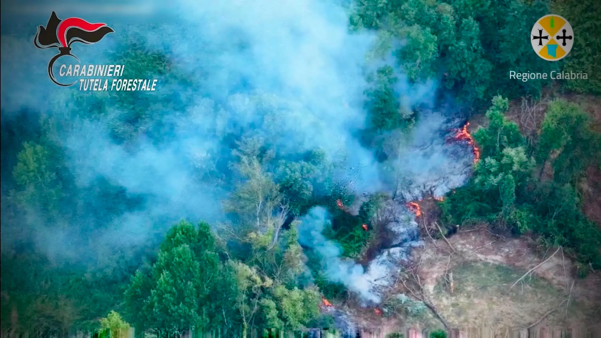 <p>Appicca il fuoco in un bosco di Mileto e <span style=\"color:hsl(0, 75%, 60%);\">fugge con il trattore</span>, arrestato 49enne di Francica</p>