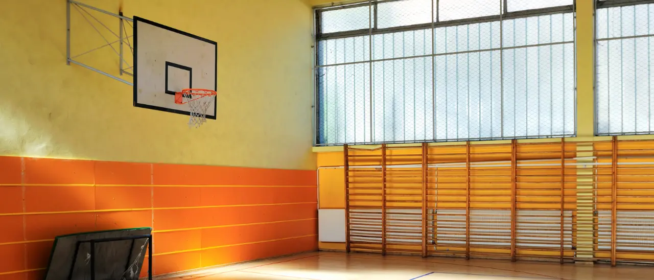 Bando palestre scolastiche, in Calabria 11 progetti ammessi per oltre 8 milioni di euro: la graduatoria del ministero\n