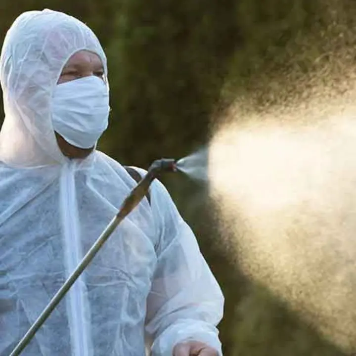 Disinfestazione antialare a Catanzaro Nord: l'elenco delle zone interessate e le raccomandazioni alla cittadinanza\n