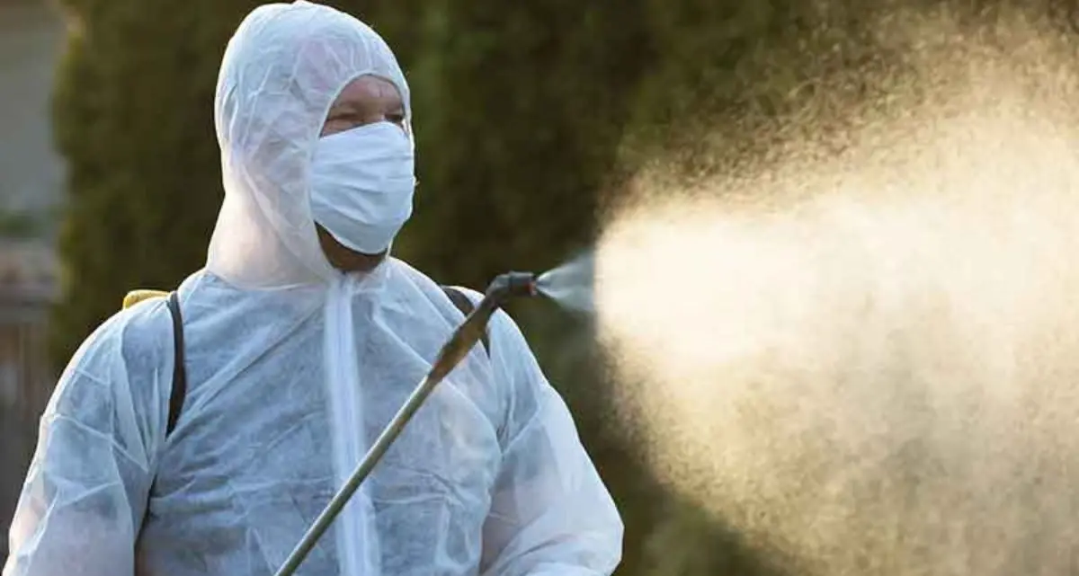 Disinfestazione antialare a Catanzaro Nord: l'elenco delle zone interessate e le raccomandazioni alla cittadinanza\n