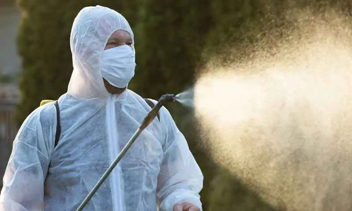 Disinfestazione antialare a Catanzaro Nord: l'elenco delle zone interessate e le raccomandazioni alla cittadinanza\n