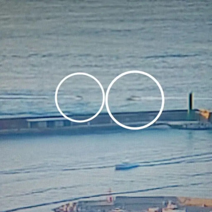 Incidente nautico a Vibo Marina, spunta un video:\u00A0alle 19.18 l’impatto che ha ucciso Domenico Campana\n