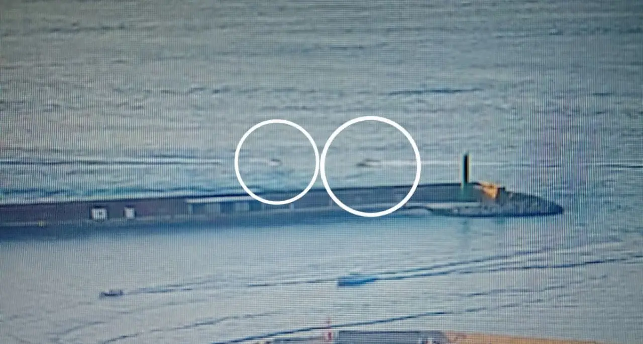 Incidente nel porto di Vibo, spunta il video dello scontro che ha ucciso Domenico Campana: l’impatto fatale alle 19.18\n