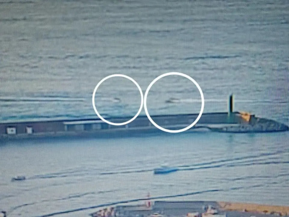 Incidente nel porto di Vibo, spunta il video dello scontro che ha ucciso Domenico Campana: l’impatto fatale alle 19.18
