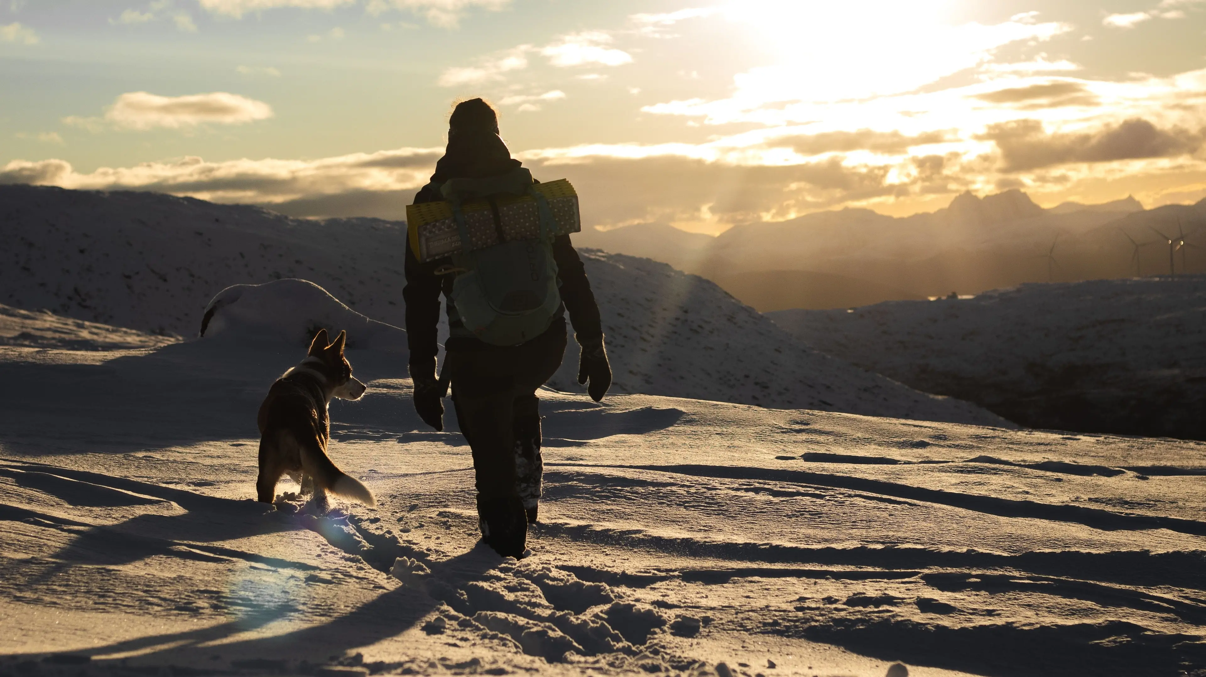 <p>Dog trekking in Calabria: <span style=\"color:hsl(0, 75%, 60%);\">i migliori sentieri da percorrere con il cane</span> (e le precauzioni da adottare)</p>