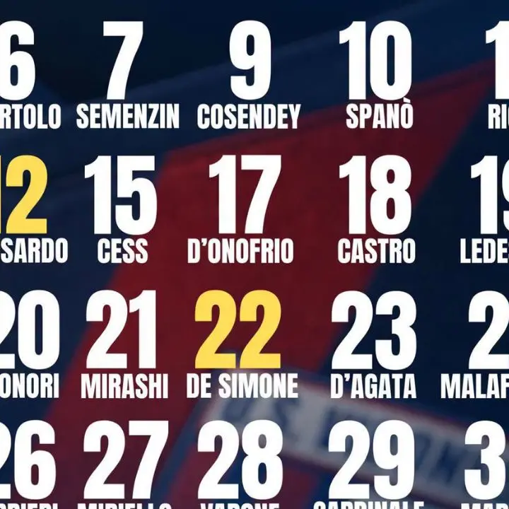 <p>Serie D, scatta l’ora della Vibonese: ufficializzati i numeri di maglia, in attesa dell'esordio in Coppa Italia</p>