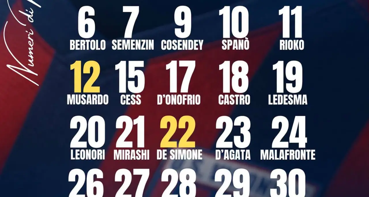 Serie D, scatta l’ora della Vibonese: ufficializzati i numeri di maglia, in attesa dell'esordio in Coppa Italia\n