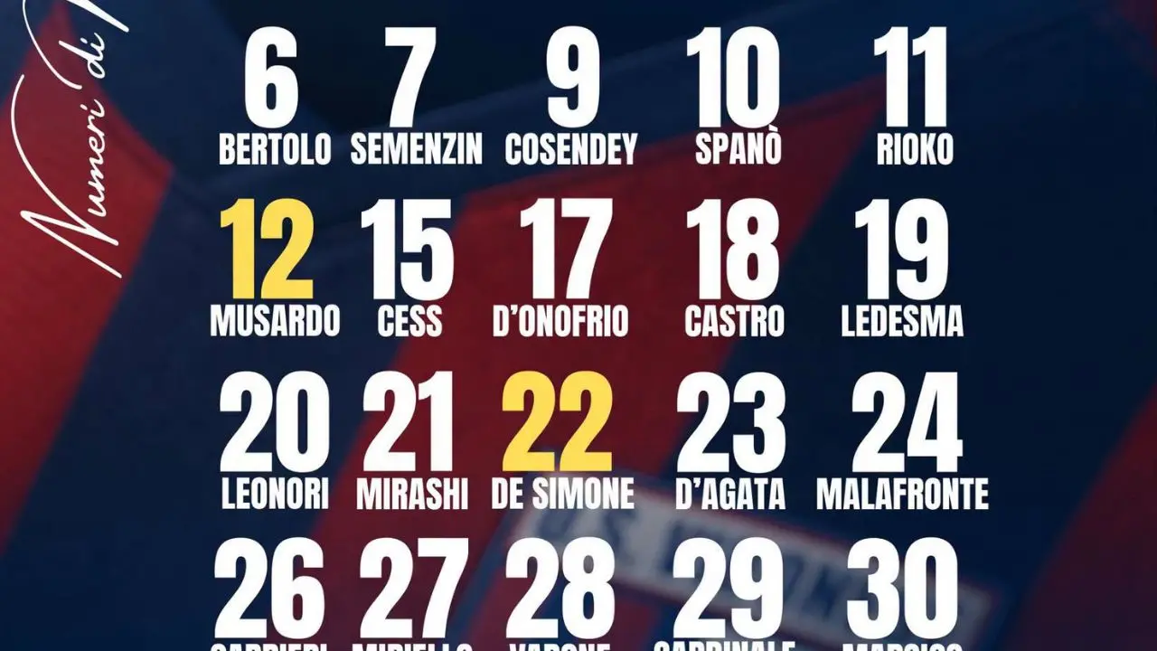 Serie D, scatta l’ora della Vibonese: ufficializzati i numeri di maglia, in attesa dell'esordio in Coppa Italia\n