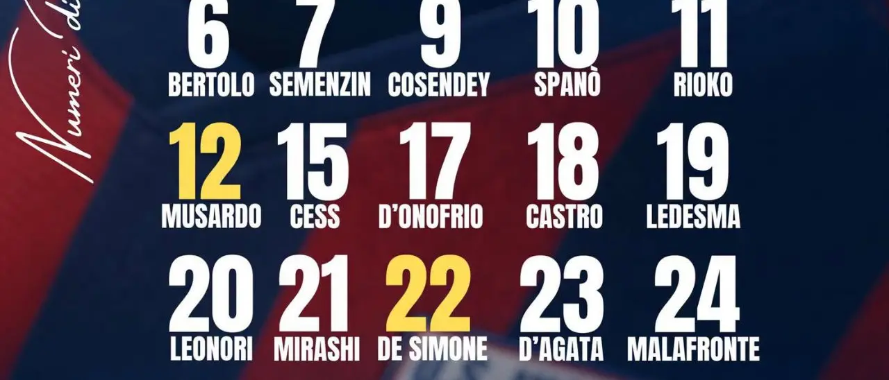 Serie D, scatta l’ora della Vibonese: ufficializzati i numeri di maglia, in attesa dell'esordio in Coppa Italia\n