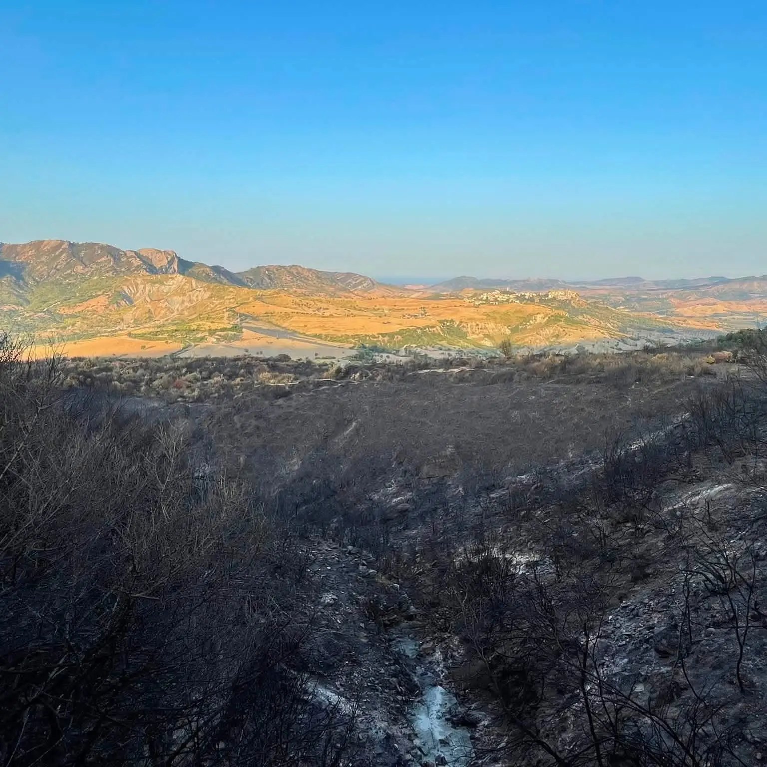 Il fuoco devasta i boschi di Scala Coeli, due incendi a distanza di 11 giorni nella stessa zona. Legambiente: «Un disastro»\n