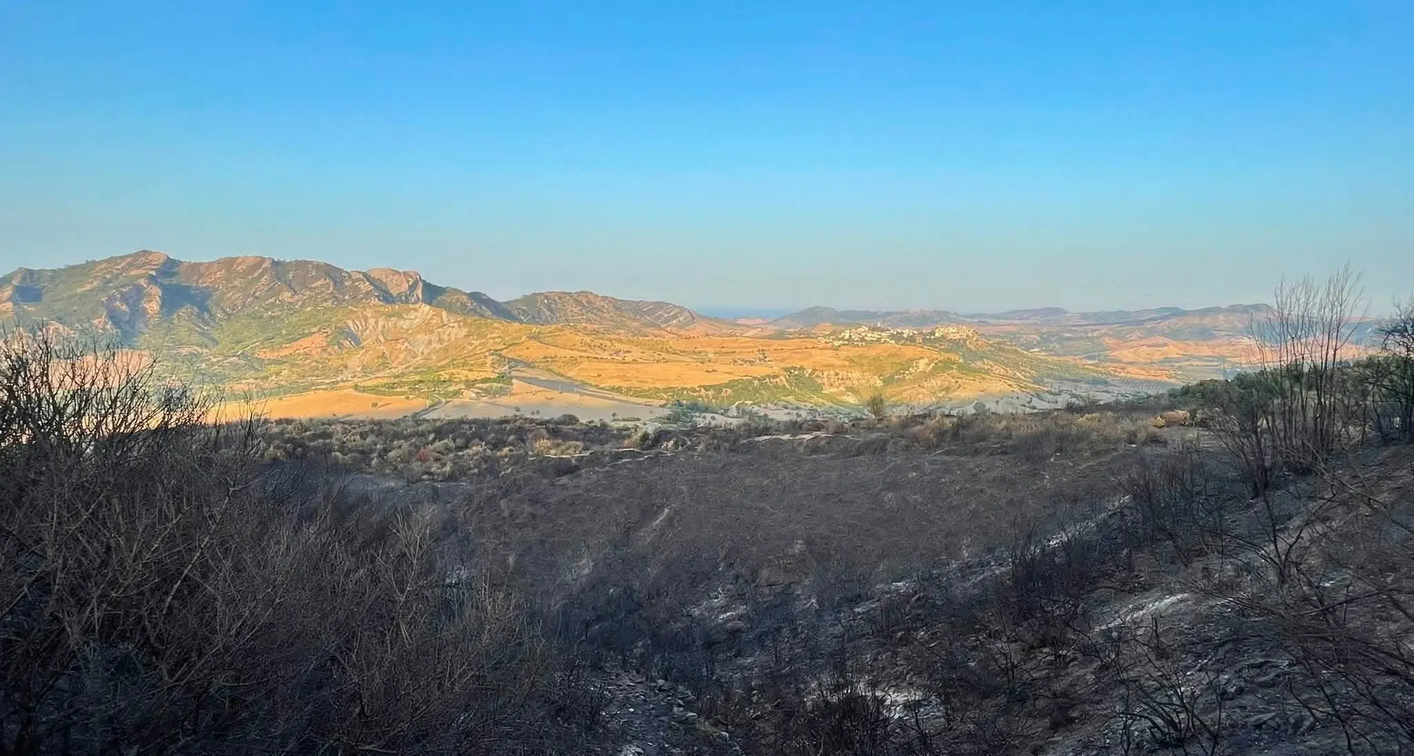 Il fuoco devasta i boschi di Scala Coeli, due incendi a distanza di 11 giorni nella stessa zona. Legambiente: «Un disastro»\n