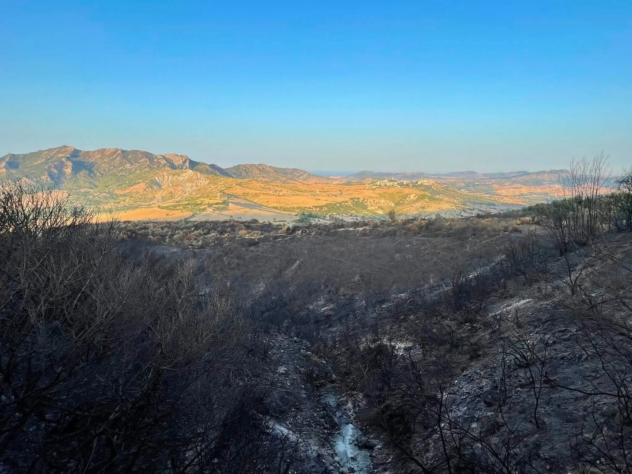 Il fuoco devasta i boschi di Scala Coeli, due incendi a distanza di 11 giorni nella stessa zona. Legambiente: «Un disastro»\n