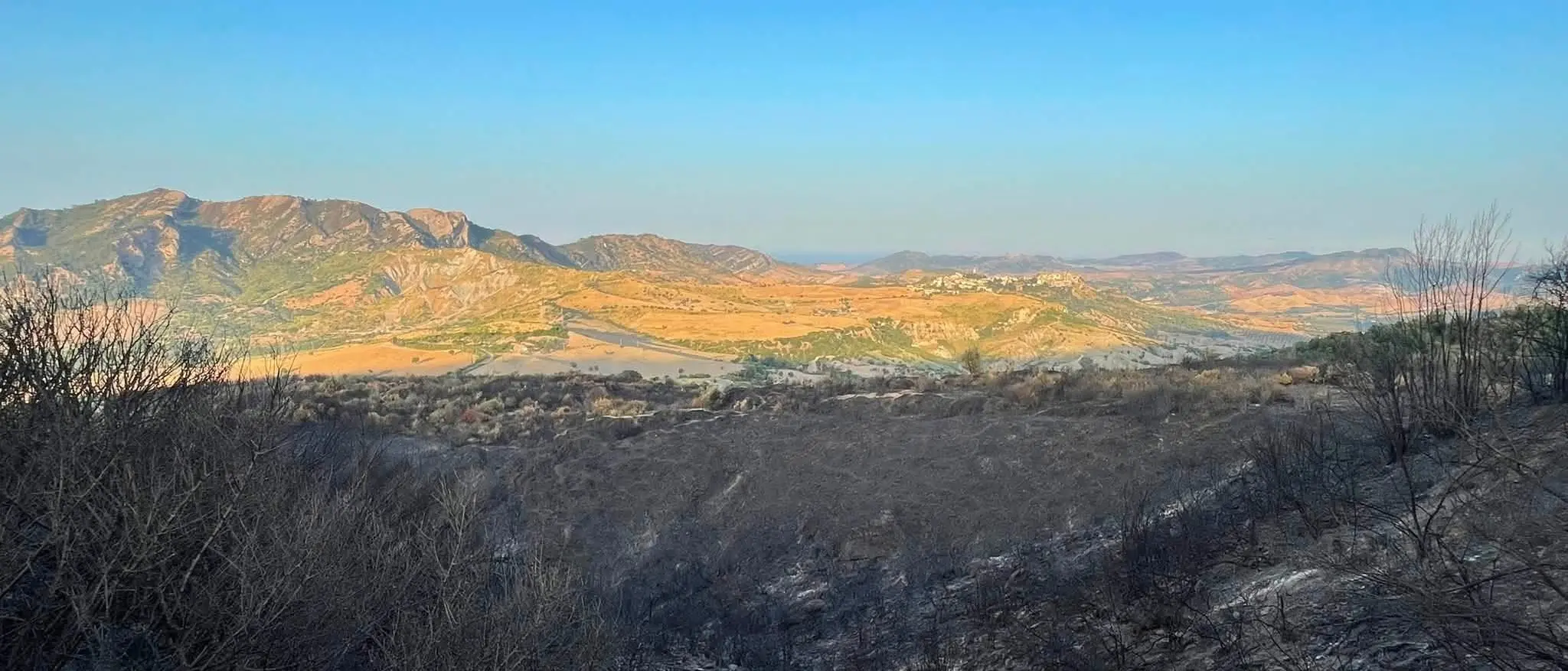 Il fuoco devasta i boschi di Scala Coeli, due incendi a distanza di 11 giorni nella stessa zona. Legambiente: «Un disastro»\n