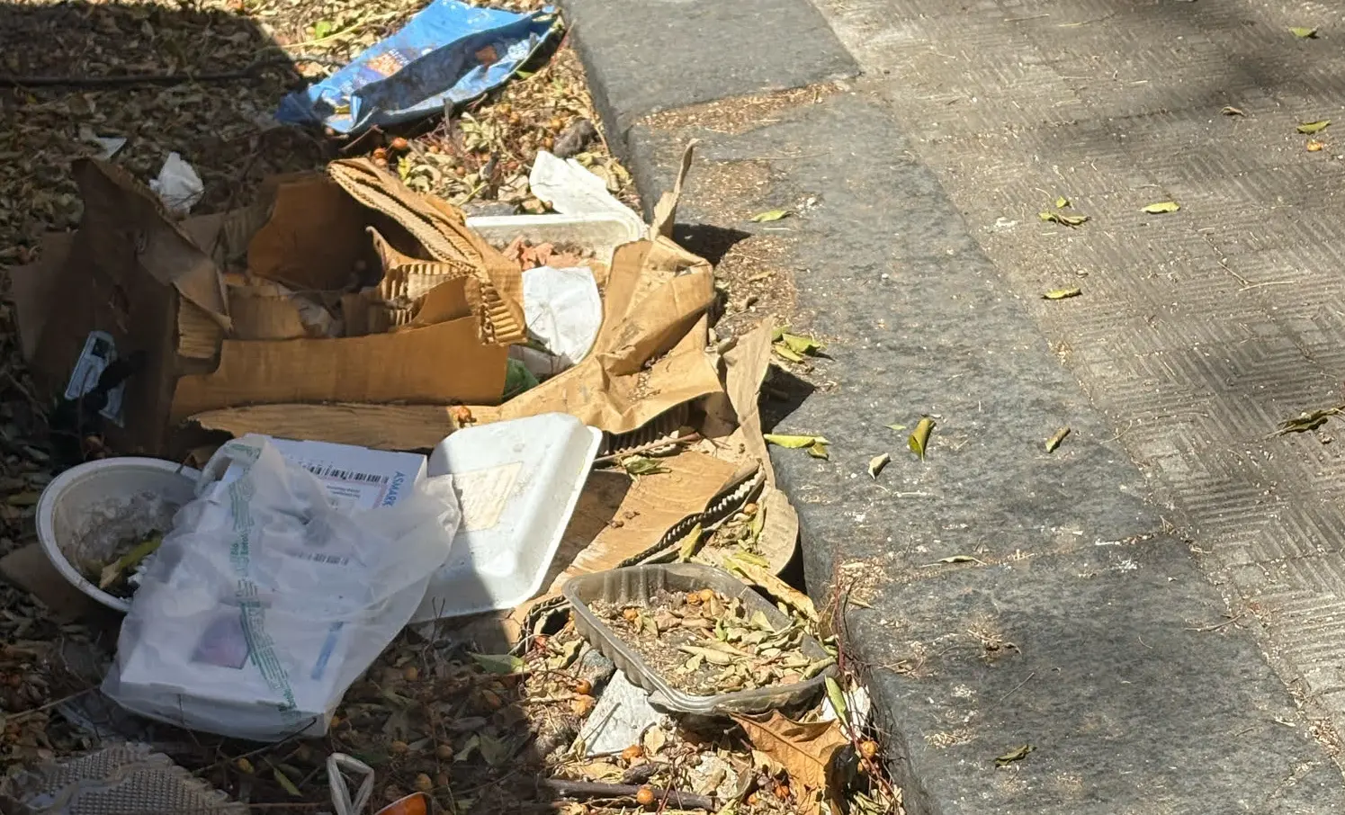 Via Melacrino tra degrado e potature discutibili: i cittadini chiedono maggiore attenzione