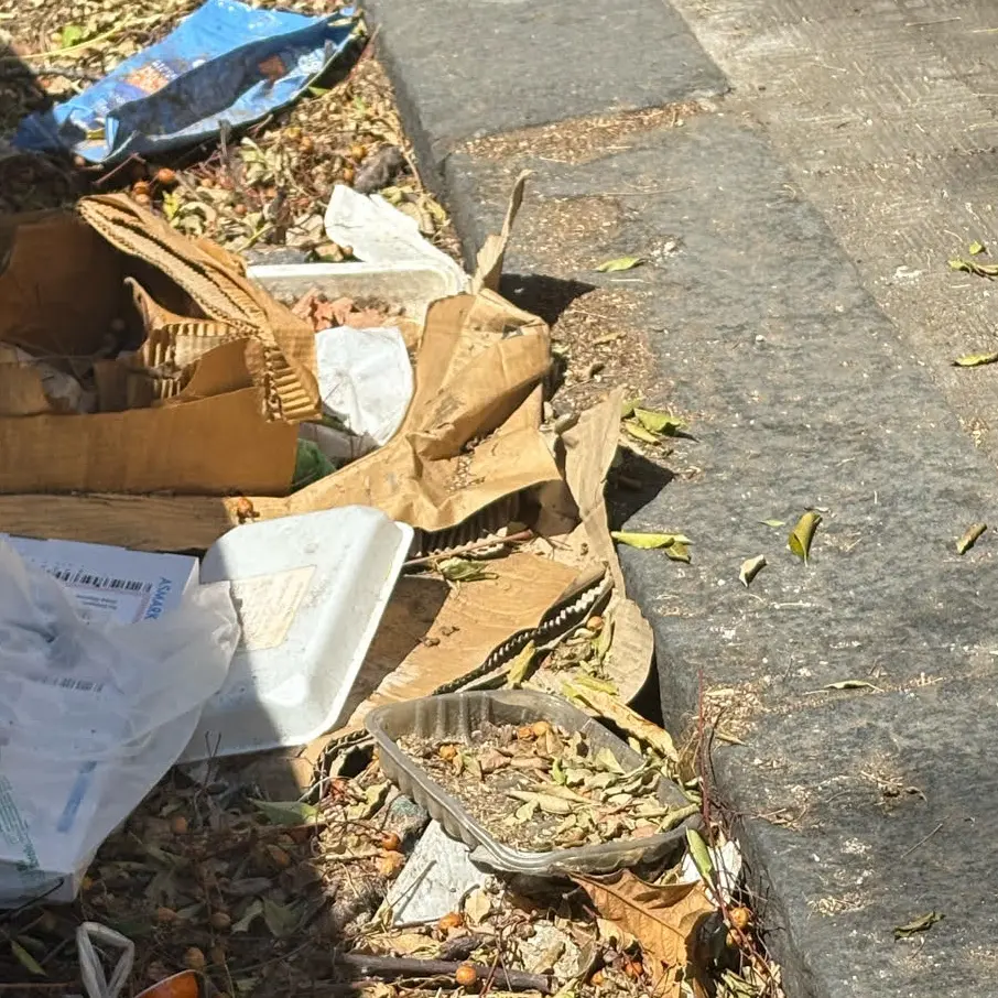 Via Melacrino tra degrado e potature discutibili: i cittadini chiedono maggiore attenzione\n