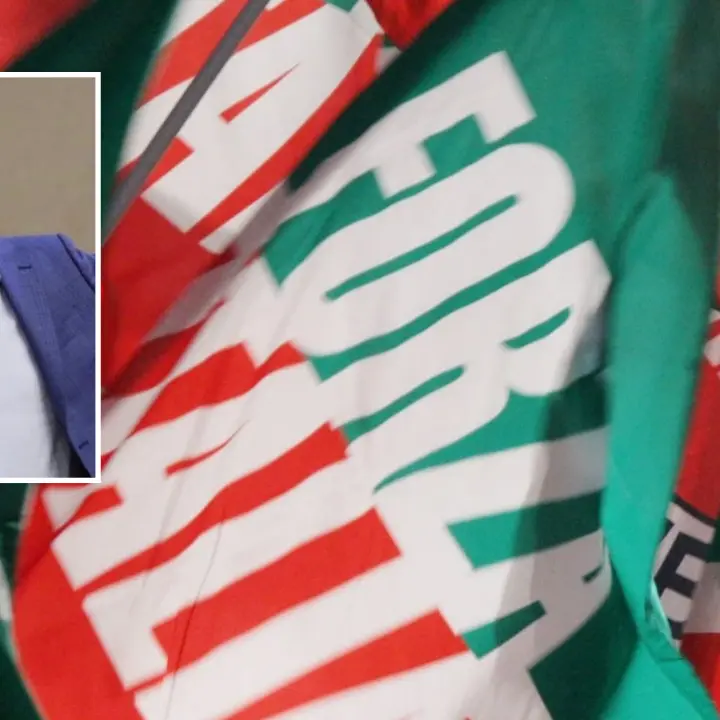 Giannetta passa con Vannacci, l’ira di Forza Italia: «Un insulto agli elettori calabresi»\n