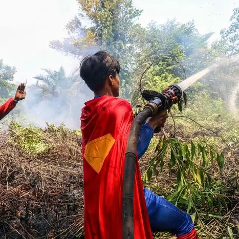 Superman contro gli incendi del Borneo: il 17enne Rudiyansah conquista i social\n