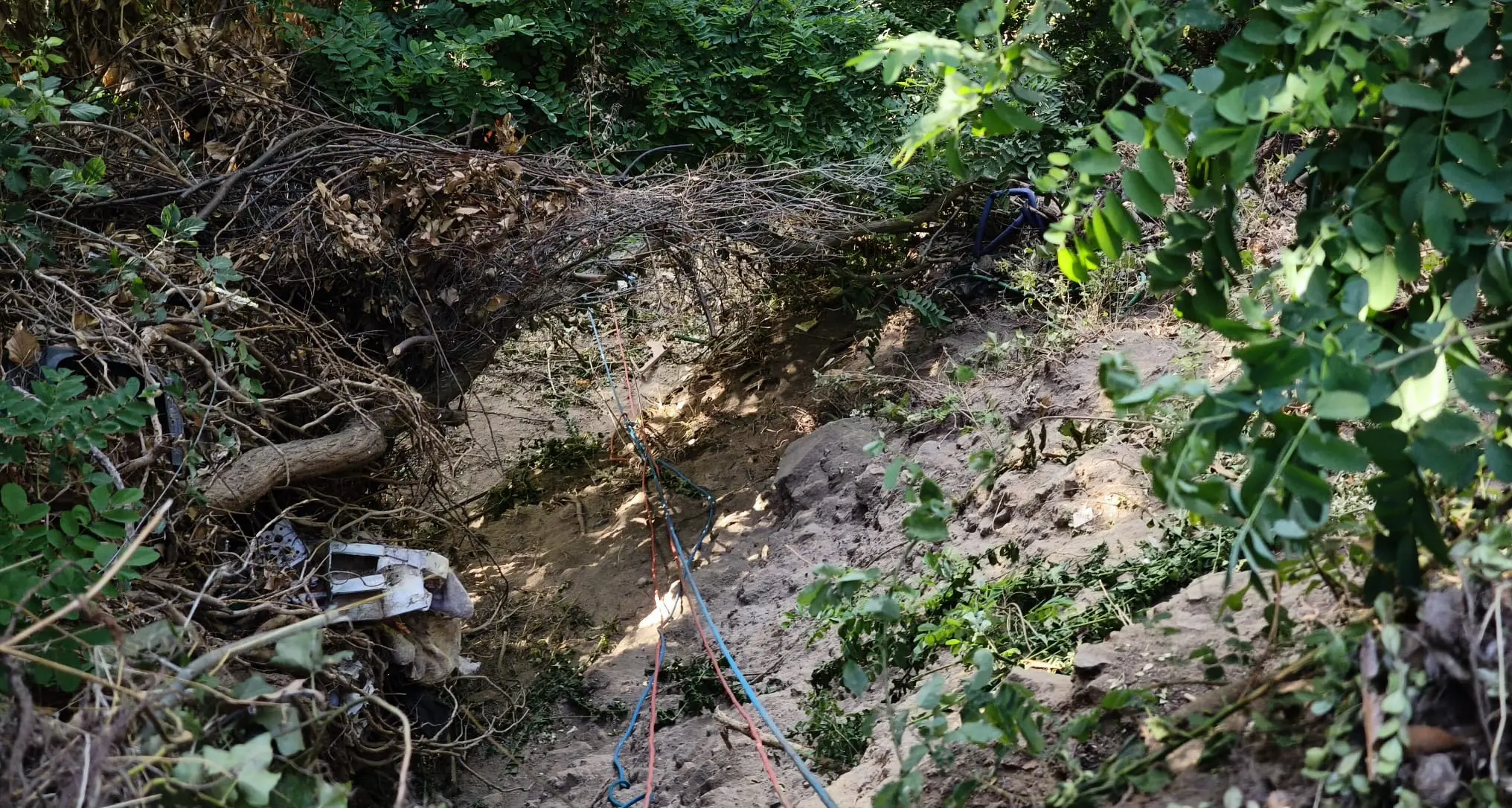 Precipitano in un dirupo di 15 metri: muore un 25enne a Santo Stefano in Aspromonte, ferito un amico\n