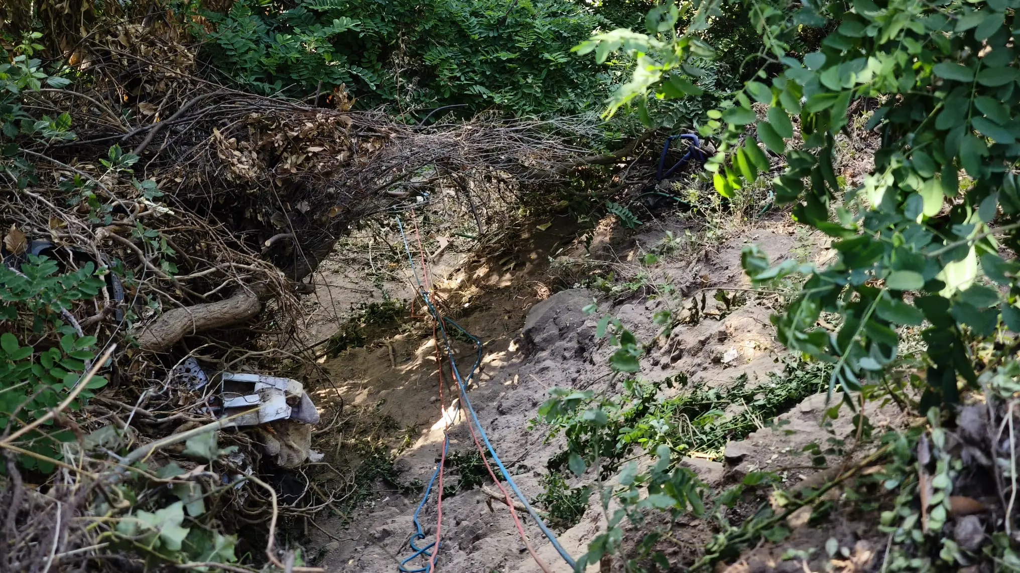 Precipitano in un dirupo di 15 metri: muore un 25enne a Santo Stefano in Aspromonte, ferito un amico\n
