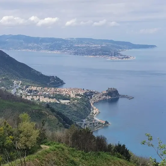 Se la memoria non basta, serve la ricerca: conoscere lo Stretto per proteggerlo (oltre il confronto sul Ponte)\n