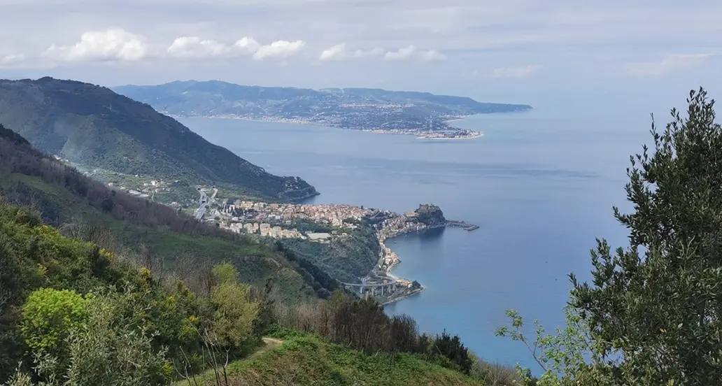 <p>Se la memoria non basta, serve la ricerca: <span style=\"color:hsl(0, 75%, 60%);\">conoscere lo Stretto</span> per proteggerlo (oltre il confronto sul Ponte)</p>