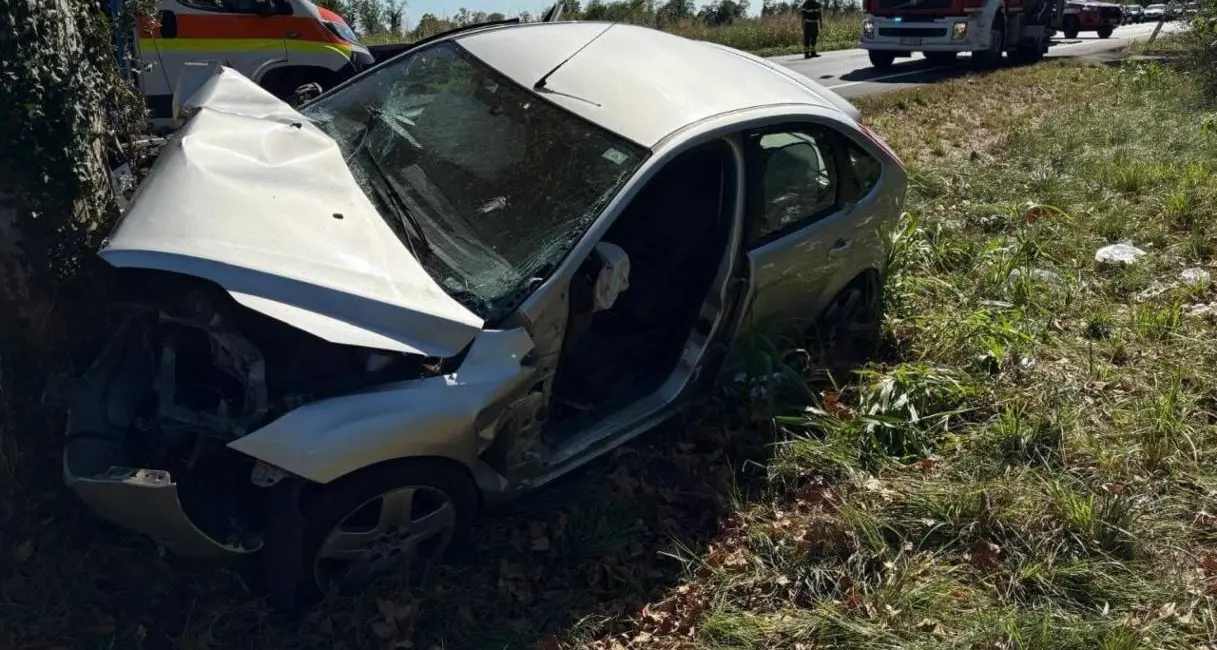 Udine, auto finisce contro un platano: muore bambina di 11 anni, grave la sorellina\n