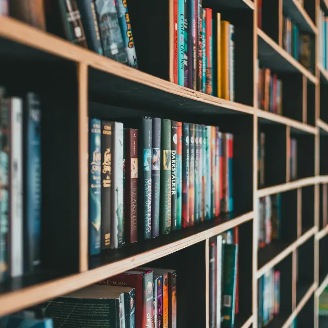 Una nuova rete di librerie, biblioteche e residenze artistiche: la Regione Calabria pubblica tre avvisi esplorativi\n