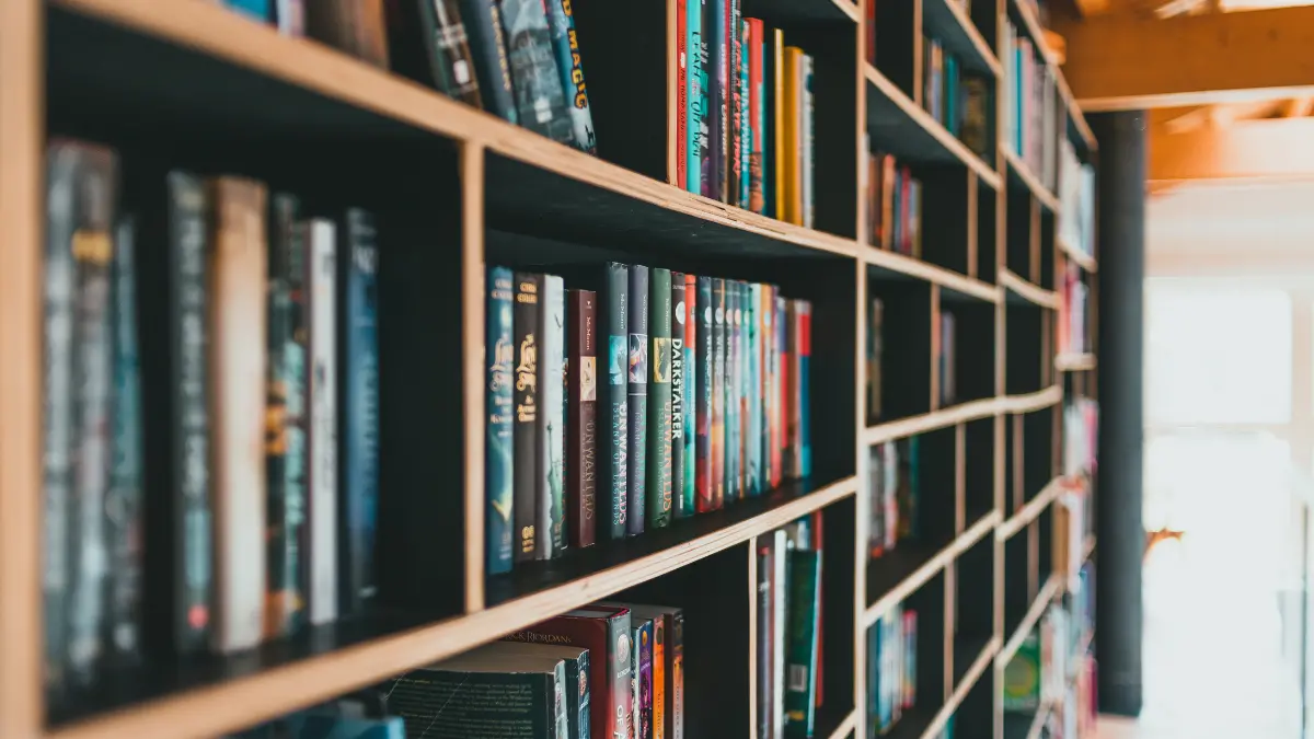 Una nuova rete di librerie, biblioteche e residenze artistiche: la Regione Calabria pubblica tre avvisi esplorativi\n
