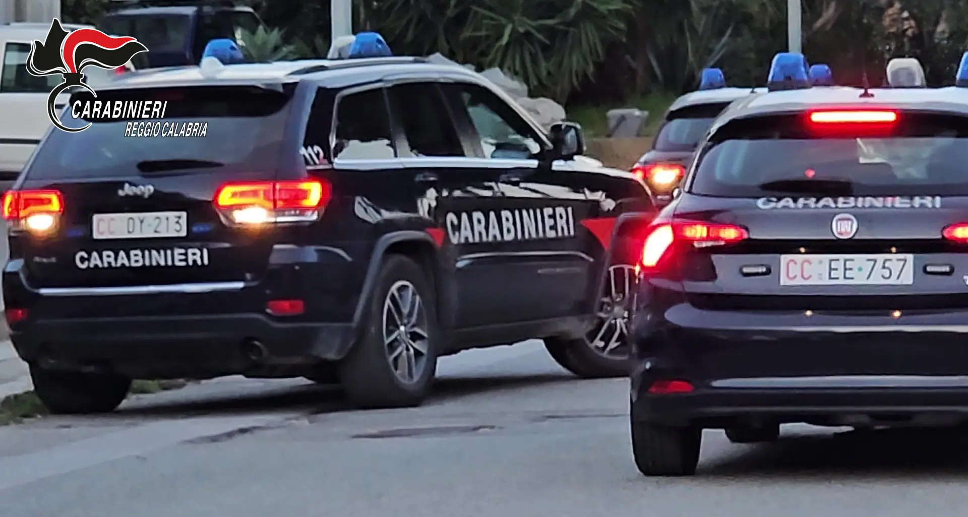 Controlli dei Carabinieri nel Taurianovese, 23 persone denunciate: sequestrati documenti falsi\n