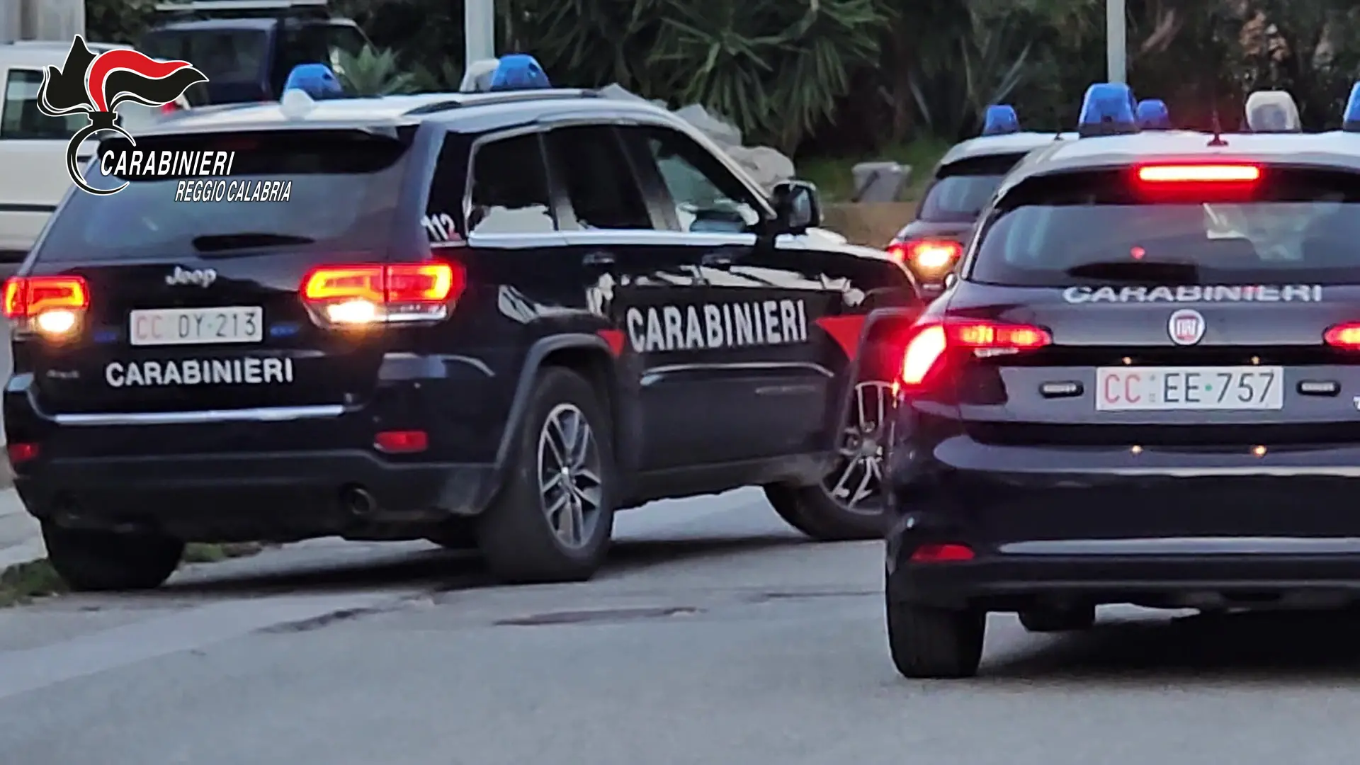 Controlli dei Carabinieri nel Taurianovese, 23 persone denunciate: sequestrati documenti falsi\n