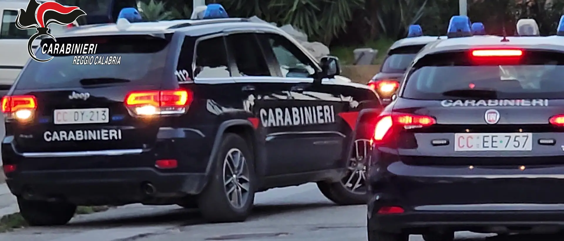 Controlli dei Carabinieri nel Taurianovese, 23 persone denunciate: sequestrati documenti falsi\n
