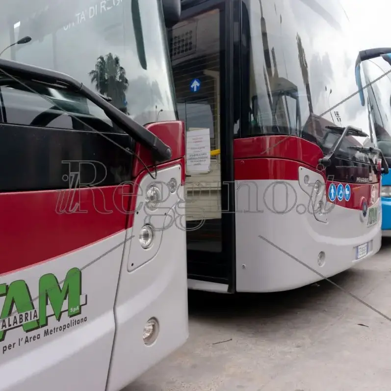Reggio, lite alla fermata del bus: coinvolto autista Atam\n