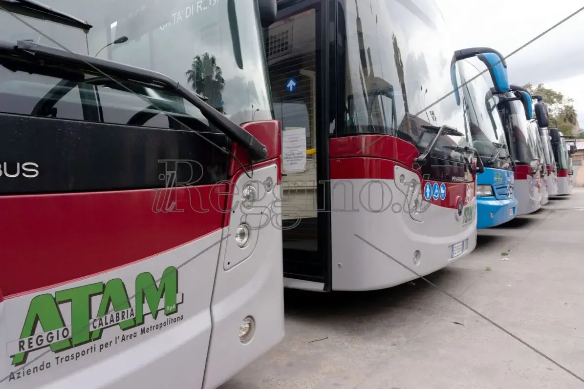 Reggio, lite alla fermata del bus: coinvolto autista Atam\n