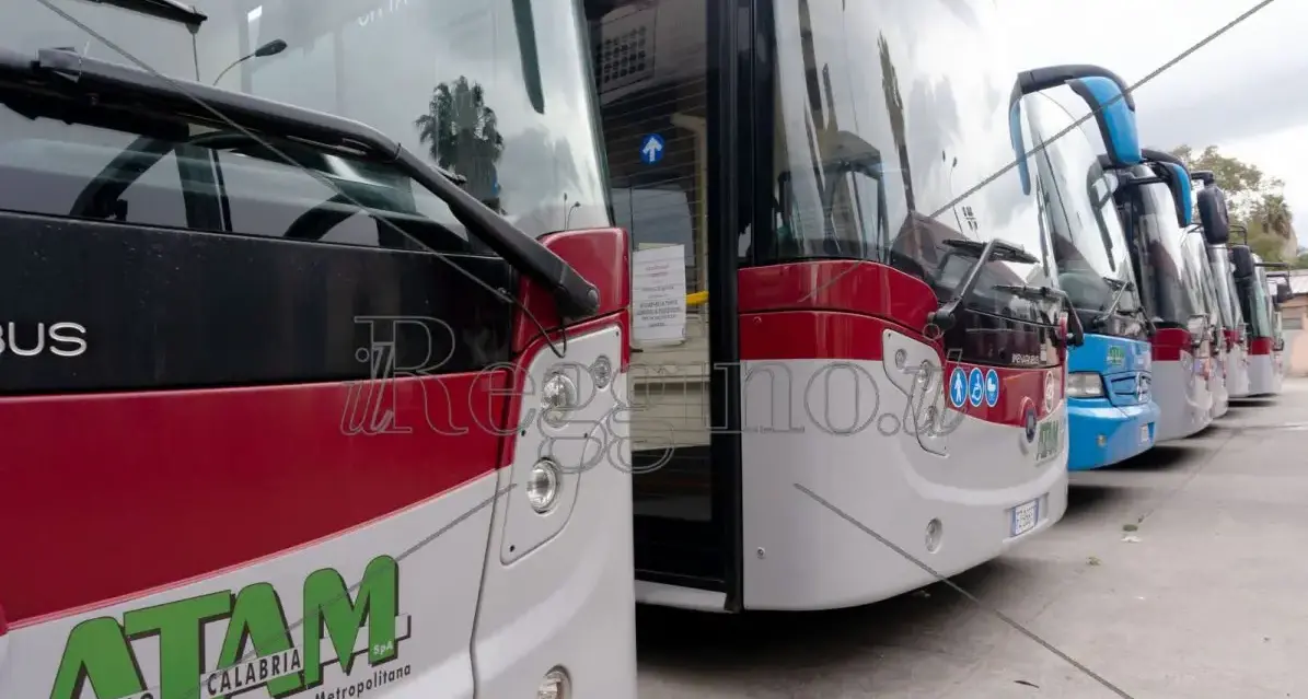 Lite alla fermata Atam, D’Amico (Falchi dello Stretto): «Offrivamo un servizio che garantiva\u00A0sicurezza»\n\n\n