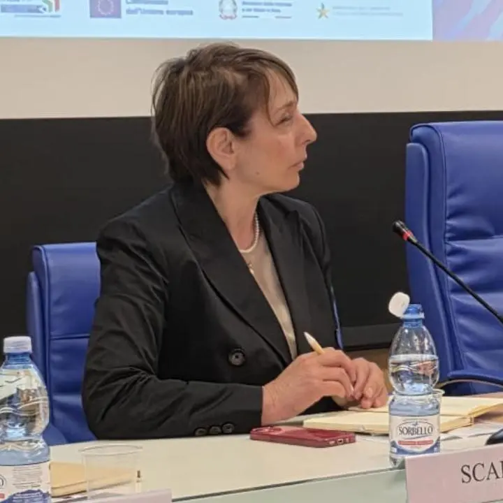 Cosenza calcio, nuova governance: Rita Scalise presidente del club rossoblù\n