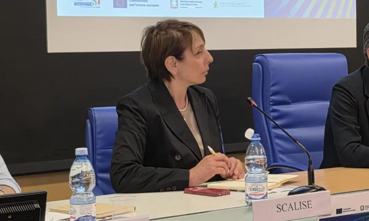 Cosenza calcio, nuova governance: Rita Scalise presidente del club rossoblù\n
